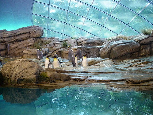 Worlds Largest Zoos (8 photos)