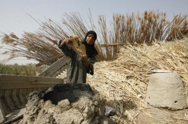 The Marshes of Iraq (21 photos)