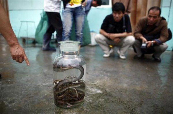 Snake Town in China (18 photos)