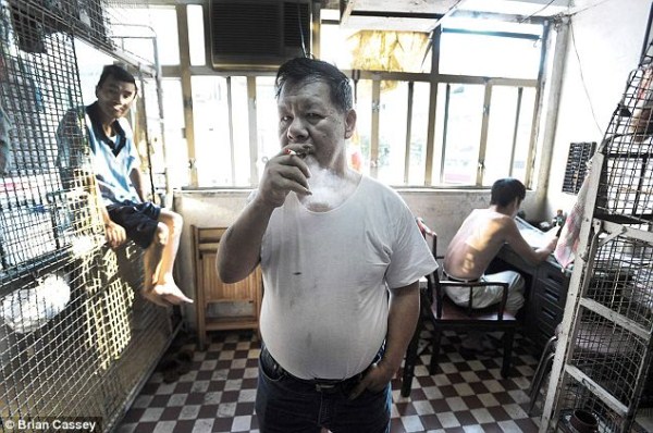 Hong Kong Citizens Are Living in Cages (17 photos)