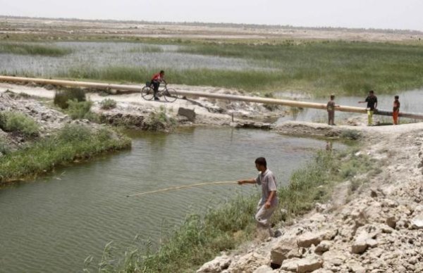 The Marshes of Iraq (21 photos)