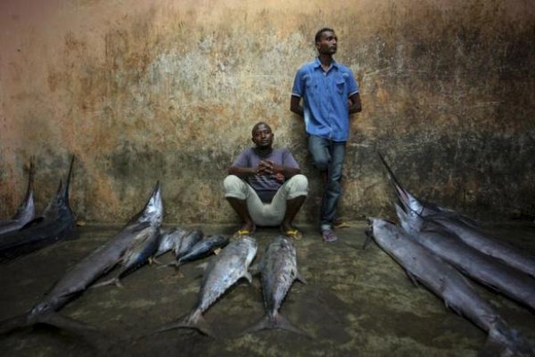 The Fishermen of Mogadishu (33 photos)