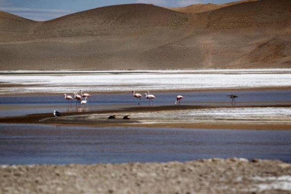 The Lithium Triangle (31 photos)