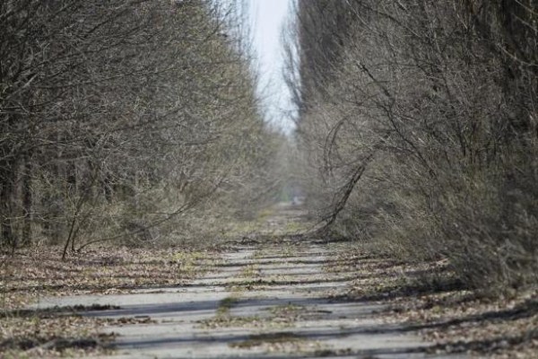 Chernobyl Today (38 photos)