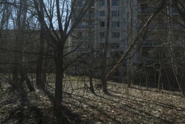 Chernobyl Today (38 photos)