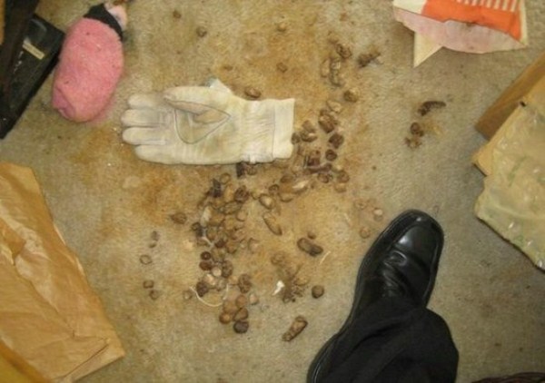 Most Disgusting Apartment Ever (23 photos)