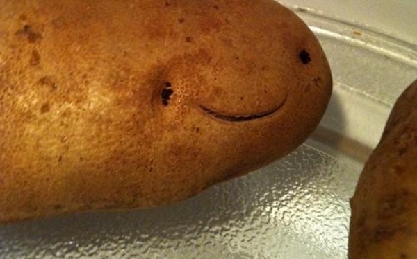 Things With Faces (55 photos)