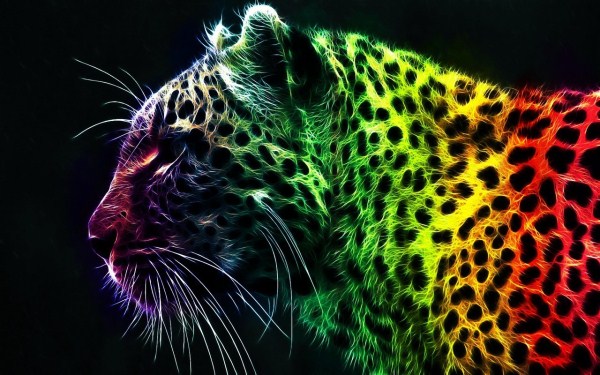 Beautiful Colorful Images (50 photos)