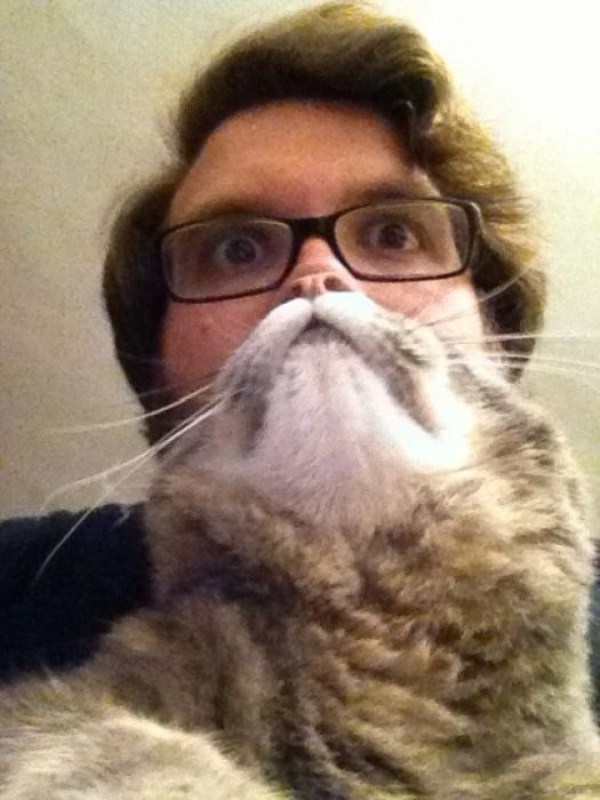 Cat Beards (25 photos)