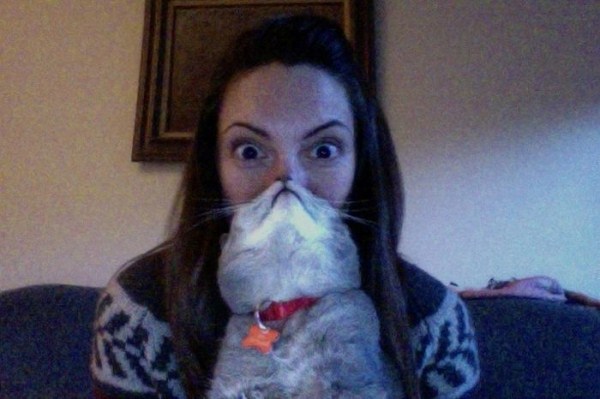 Cat Beards (25 photos)