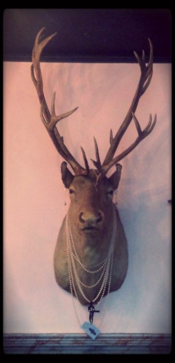 Scary Taxidermied Animals (40 photos)