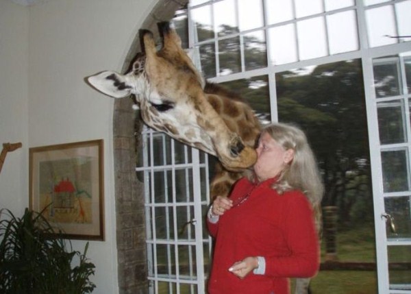 Women vs Animals (35 photos)