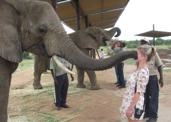 Women vs Animals (35 photos)
