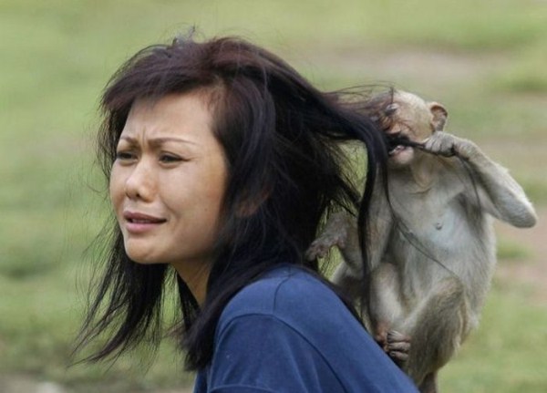 Women vs Animals (35 photos)