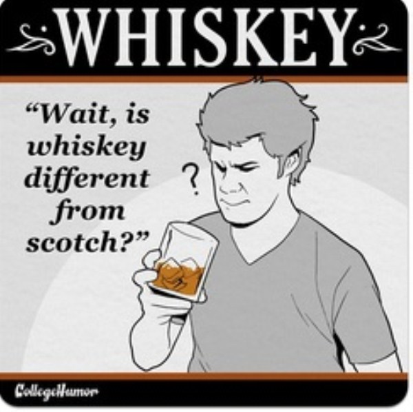 What Your Favorite Alcoholic Drinks Says About You (16 photos)