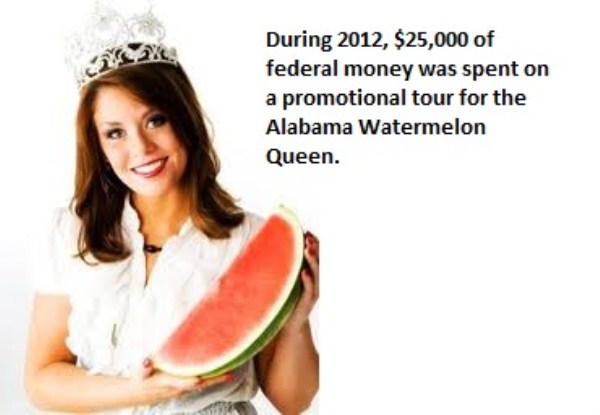 30 Examples of Wasting American Public Funds (30 photos)