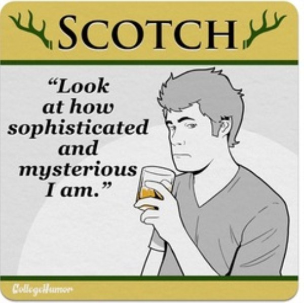 What Your Favorite Alcoholic Drinks Says About You (16 photos)