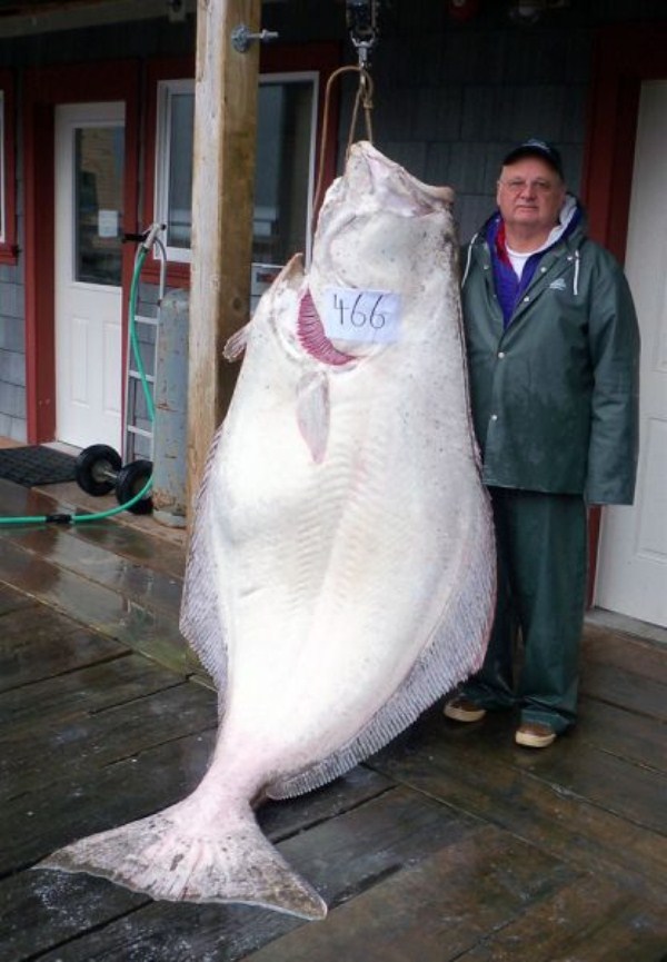a few fishermens biggest catches ever 640 13
