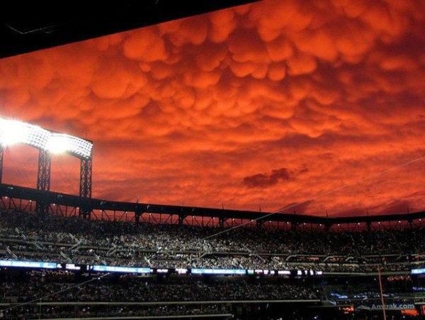 Photos That Say it All (49 photos)