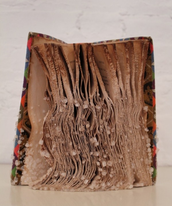 Old Books Crystalized to Create Artwork (15 photos)