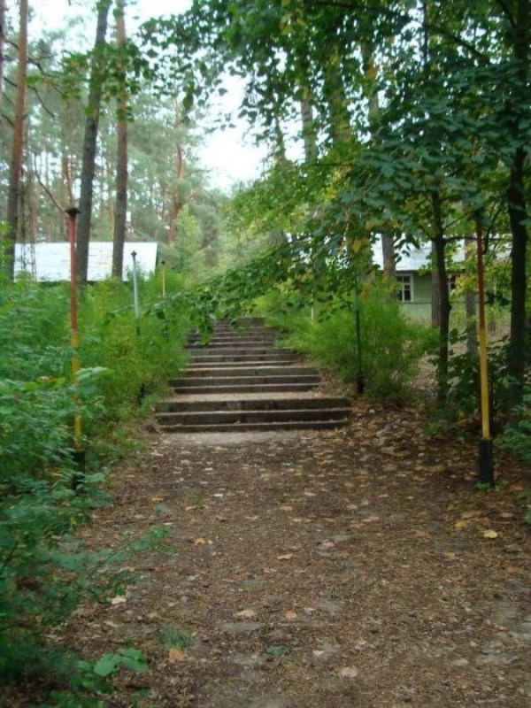 Abandoned Summer Camps in Russia (39 photos)