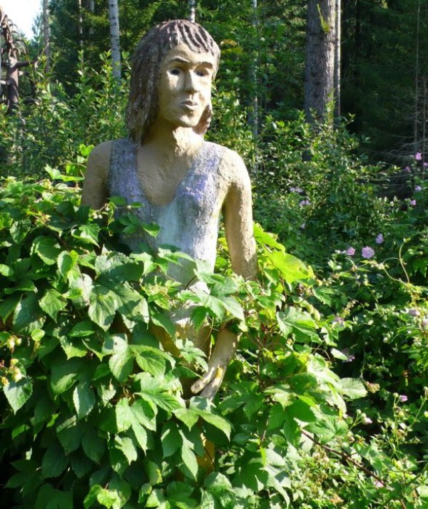 creepy forest in finland 55
