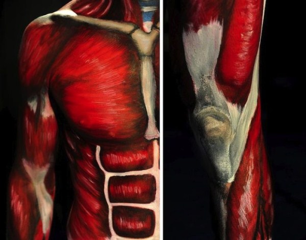 Students Learn Anatomy By Painting a Live Body (11 photos)