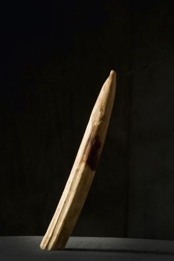 executioner 23 1 Torture Instruments of Fernand Meysonnier (74 photos)