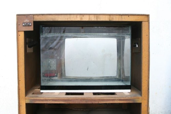 Old TV Is Turned Into Fish Tank (20 photos)