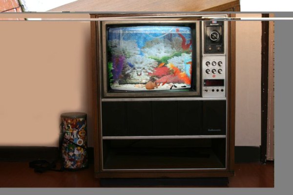 Old TV Is Turned Into Fish Tank (20 photos)