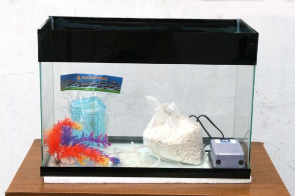 Old TV Is Turned Into Fish Tank (20 photos)