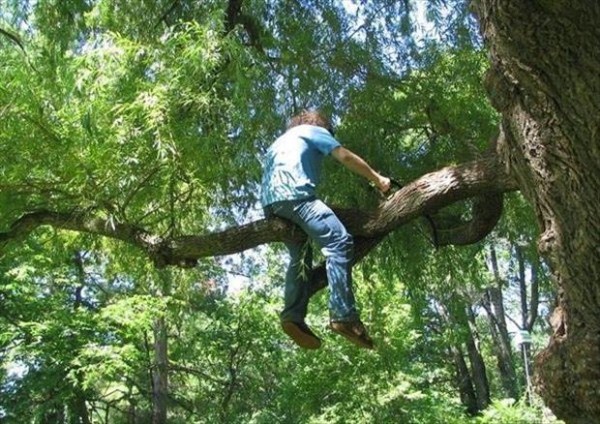 People Doing Stupid Things (51 photos)