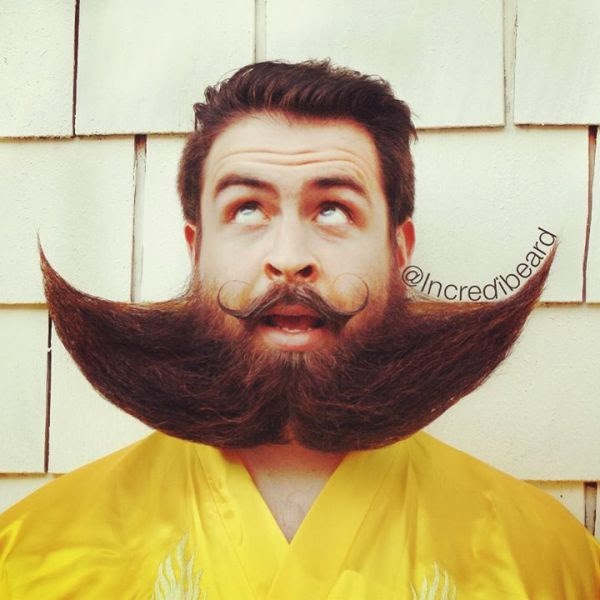The Guy with an Incredible Beard (22 photos)
