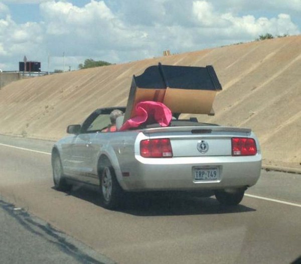 Moving Stuff That Isnt Supposed To Fit (28 photos)