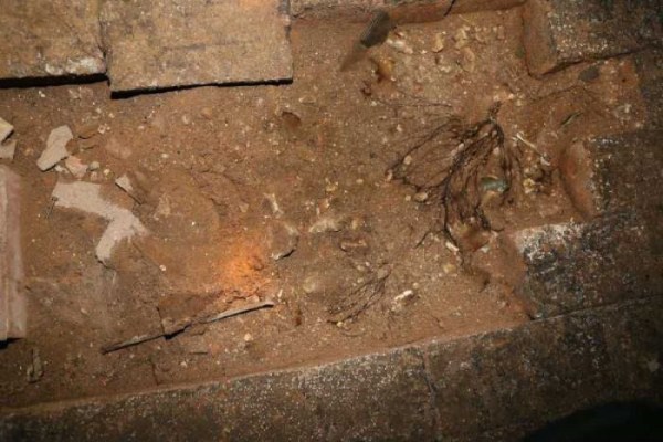 Secret Basement Found in England (13 photos)