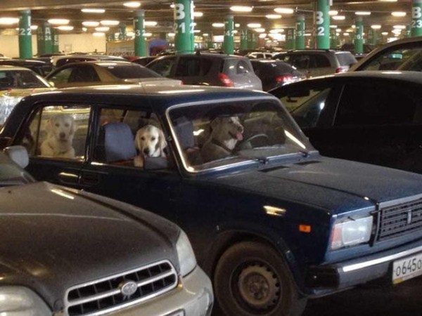 Weird Things in Russian Daily Life (50 photos)