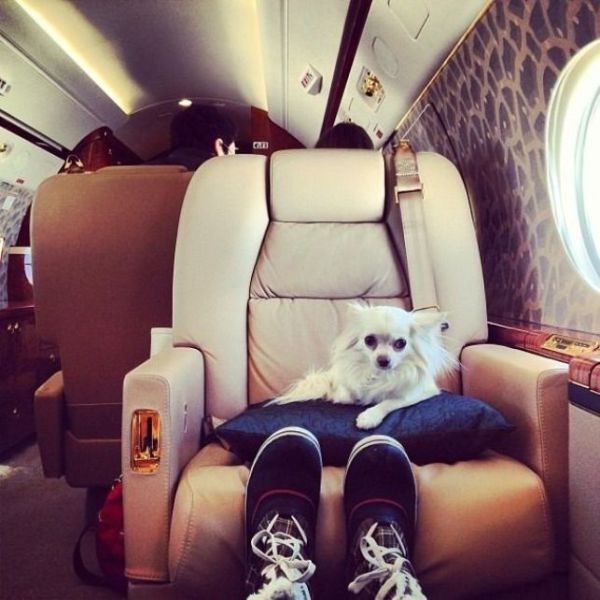 Spoiled Rich Kids of Instagram (31 photos)