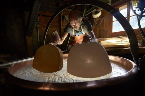 Swiss Cheese Making (22 photos)