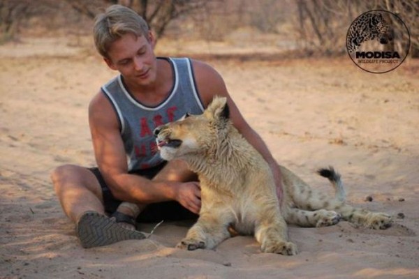 Living with Lions (37 photos)