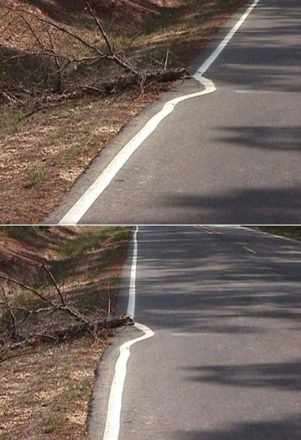 The Perfect Definition of Laziness  (63 photos)