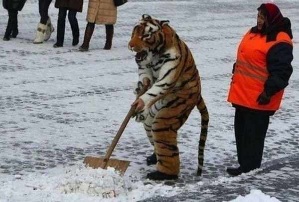 Only in Russia (43 photos)
