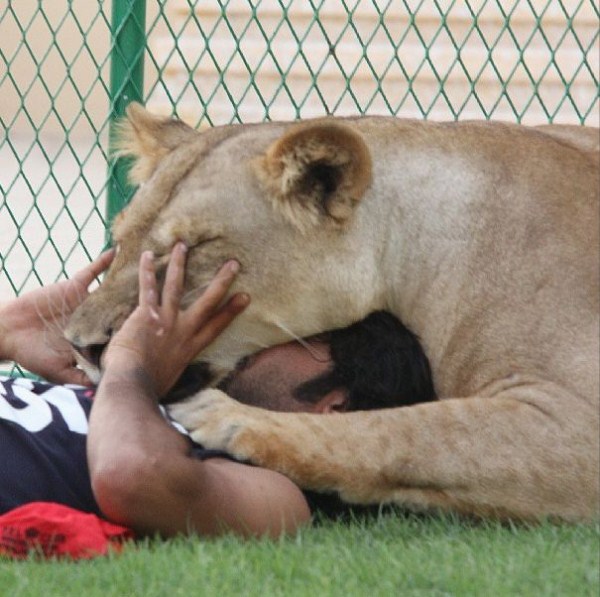 rich guy with lions instagram 01 1 12 The Rich Guy With Lions (36 photos)