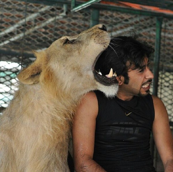 rich guy with lions instagram 01 1 2 The Rich Guy With Lions (36 photos)