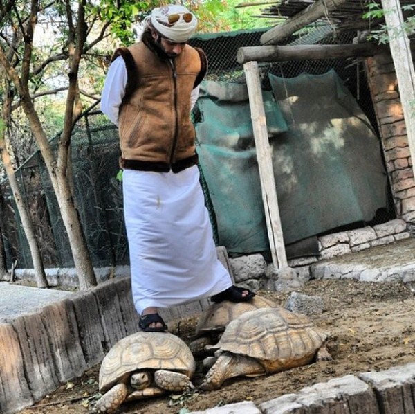 rich guy with lions instagram 01 1 28 The Rich Guy With Lions (36 photos)