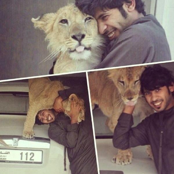 rich guy with lions instagram 01 1 3 The Rich Guy With Lions (36 photos)