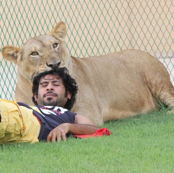 rich guy with lions instagram 01 1 4 The Rich Guy With Lions (36 photos)