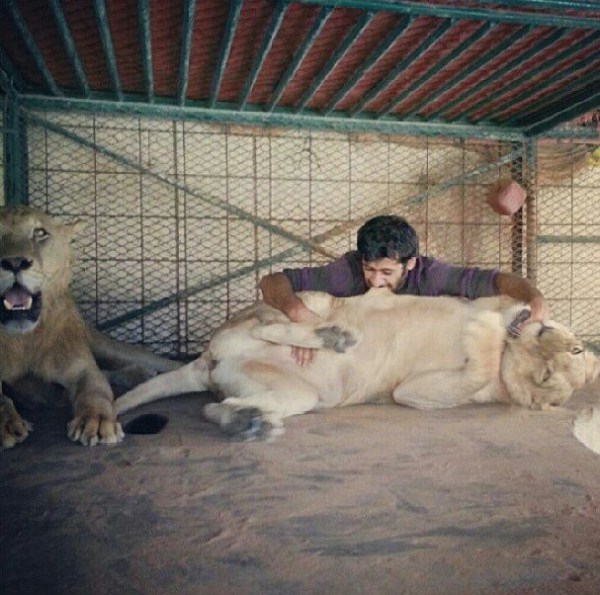 rich guy with lions instagram 01 1 5 The Rich Guy With Lions (36 photos)