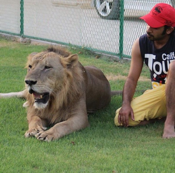 rich guy with lions instagram 01 1 7 The Rich Guy With Lions (36 photos)