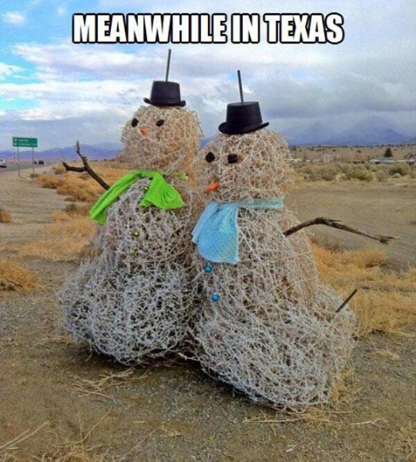 Things are Done a Little Different in Texas (24 photos)