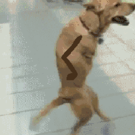 Hilarious 2013 GIFs That Will Make You Chuckle (35 gifs)